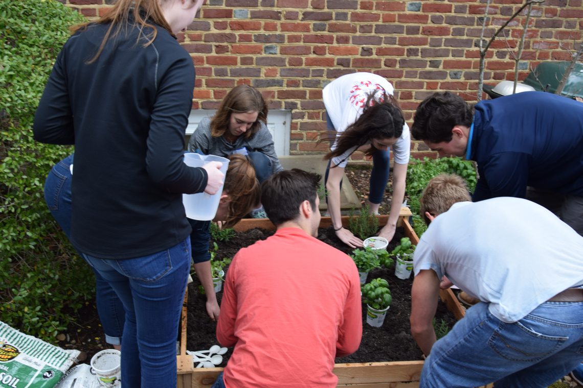 Walsingham Academy students plant the kitchen garden for the community soup kitchen at Williamsburg House of Mercy.